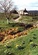 Brock Scar Self Catering Accommodation, Teesdale