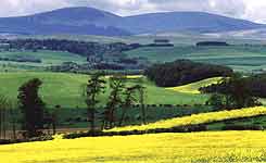 The Cheviot Hills, Northumberland